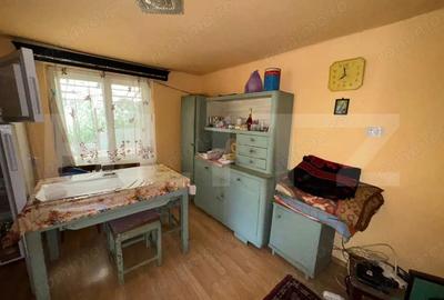 Casa in Bacia teren generos 6.557 mp, ideal pentru investi?ie! - 10