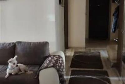 Apartament cu 5 camere semidecomandat, mobilat în Berceni