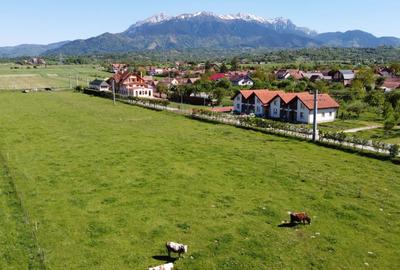 Teren plat P +4 Bran, panoramic munti, DN73, toate utilitatile - 3