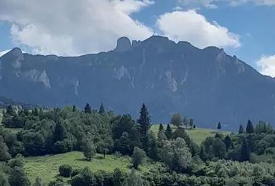 Teren de 1456 mp, în Ceahlău - 2
