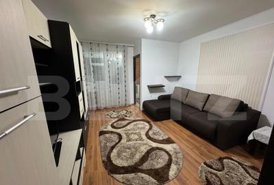 Garsoniera de inchiriat, 32 mp, Brazda lui Novac - 4