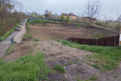Spațiu comercial, în Călărași - 4