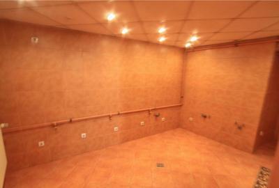 Vila cocheta pretabila rezidenta/office, Calea Dorobanti - 14