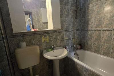 Vila individuala spatioasa ideala Afacere After School - 19