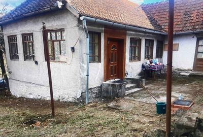 Casă cu 3 camere în Cuied - 7
