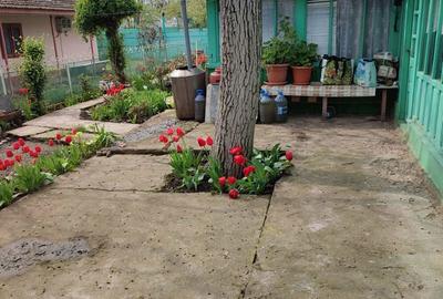 Casă cu 5 camere în Grivița - 2