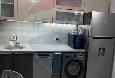 Penthouse cu 2 camere decomandat, mobilat în Calea București - 5