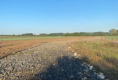 Teren intravilan de vanzare - Zona Aquastar / Str. Gorunului - 406 mp - 9