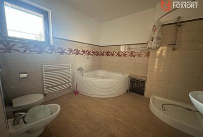 Casă individuală cu 10 camere cu Piscina în Dumbrăvița - 10