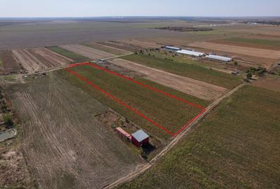 Teren Construcții intravilan de 6525 mp, în Adunații-Copăceni - 5