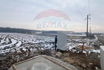 Teren de 6210 mp, în Ciolpani - 4