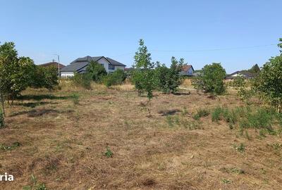 Teren de 877 mp, în Crevedia - 10