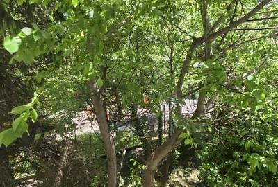 Apartament cu 2 camere semidecomandat în Nicolae Grigorescu - 3
