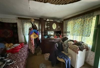 Casa batraneasca / Piatra Neamt / Pentru iubitorii de natura - 20