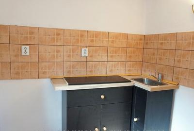 CABANA DE LA MUNTE, UN LOC FERMECATOR - 1