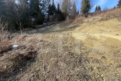 Teren intravilan de vanzare, 15 ari, zona COLIBITA - 4