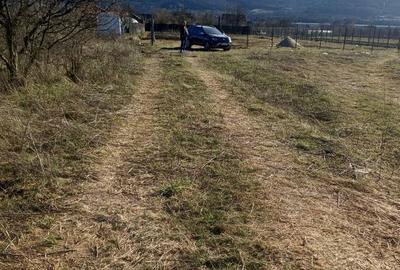 Spațiu comercial, în Șoimuș - 4