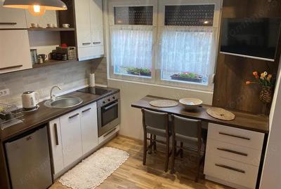 Garsoniera de inchiriat in zona Eroii Revolutiei - 3