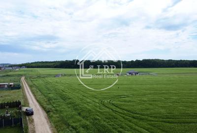 Teren Construcții intravilan de 25000 mp, în Dascălu - 10