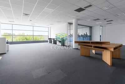 Birou, de 311 mp, în Băneasa - 4