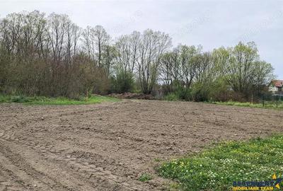 Teren de 1683 mp, în Lunca Calnicului - 1