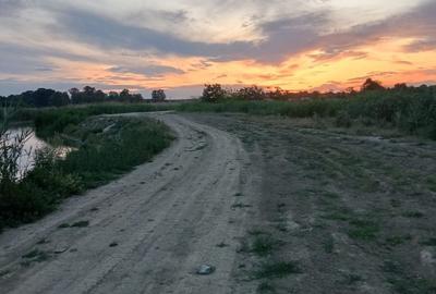 Teren intravilan de 9600 mp, în Ciocănești - 5