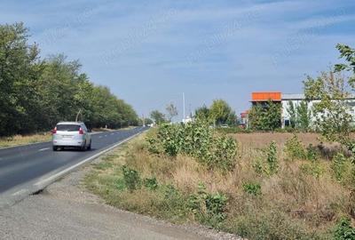 Vanzare Teren rezidential Cernica Posta 750mp Vanzare Teren rezidential Cernica Posta 750mp - 7