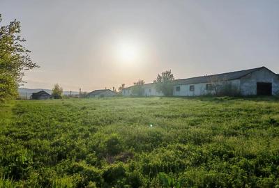 Casă cu 4 camere cu Teren 12000 Mp în Laza - 3