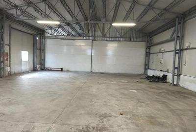 Dumbravita hala 250 mp- 1000 euro - 3