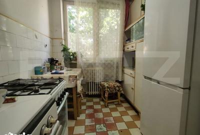 Apartament cu 3 camere în Rogerius - 2