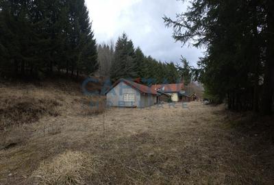 Cabana la munte Rucar / Satic - 6