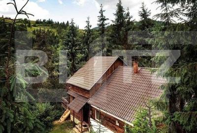 Cabana 8 camere, 450 mp, teren, 2200 mp, zona Garda de Sus - 2
