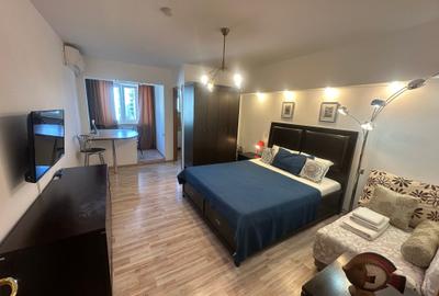 Garsoniera  Cal. Victoriei langa Hotel Radisson,bloc solid,termoizolat - 13