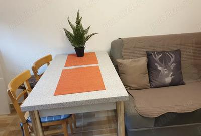 Inchiriere garsoniera Burdujeni-Suceava - 1