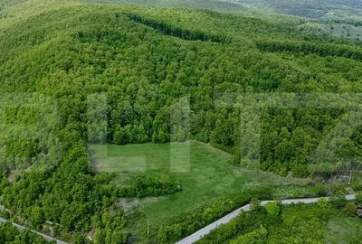 Teren superb, in mijlocul naturii, 18.360 mp, la Carji?i - 2