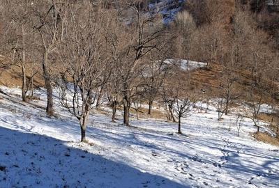 Teren de 2031 mp, în Poiana