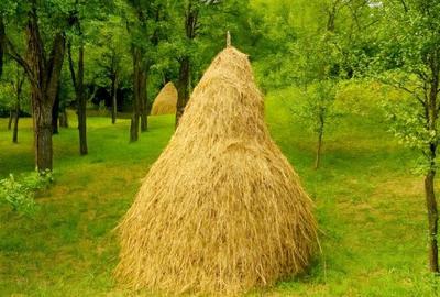 Casă cu 4 camere în Brebu - 13