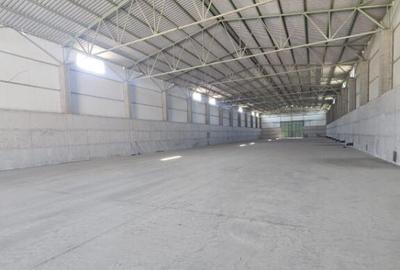 Proprietate agroindustriala, hala 1590 mp, teren 28000 mp, p - 13