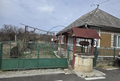 Casă cu Teren 1329 Mp în Reteag - 3