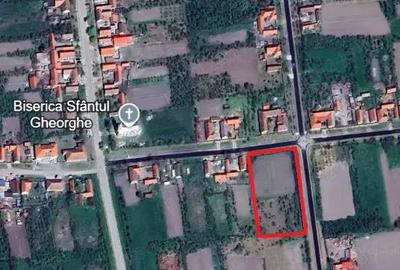 Teren de 4500 mp, în Babșa