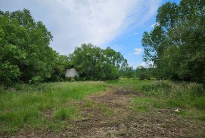 Teren de vanzare intravilan Com Fardea Jud Timis - Langa lacul Surduc - 3