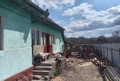 Casă cu 3 camere cu Teren 150 Mp în Păsăreni - 3