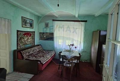 Casa  cu livada 2880 mp in Adea la 4km de Chisineu-Cris - 7