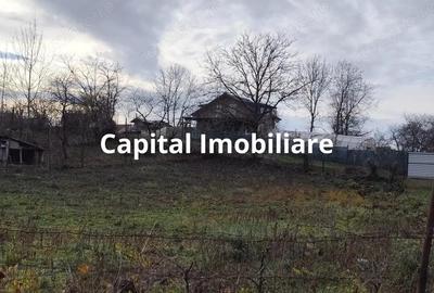 Teren Intravilan Baicoi 1061 mp - 1