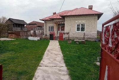 Casă cu 3 camere cu Teren 5000 Mp în Galicea - 4