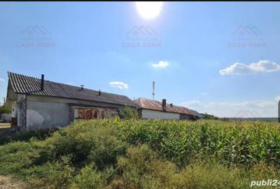 Teren de 7444 mp, în Dărmănești - 3