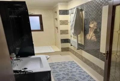 Casa spa?ioasa de inchiriat 5 camere Sacalaz - 4