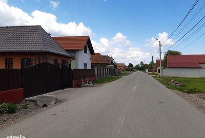 Teren de 50000 mp, în Prejmer - 3