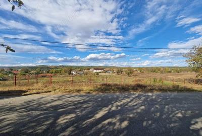 Teren de 5000 mp, în Vrancea - 3