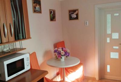 Garsonieră semidecomandată în Exterior Vest - 3